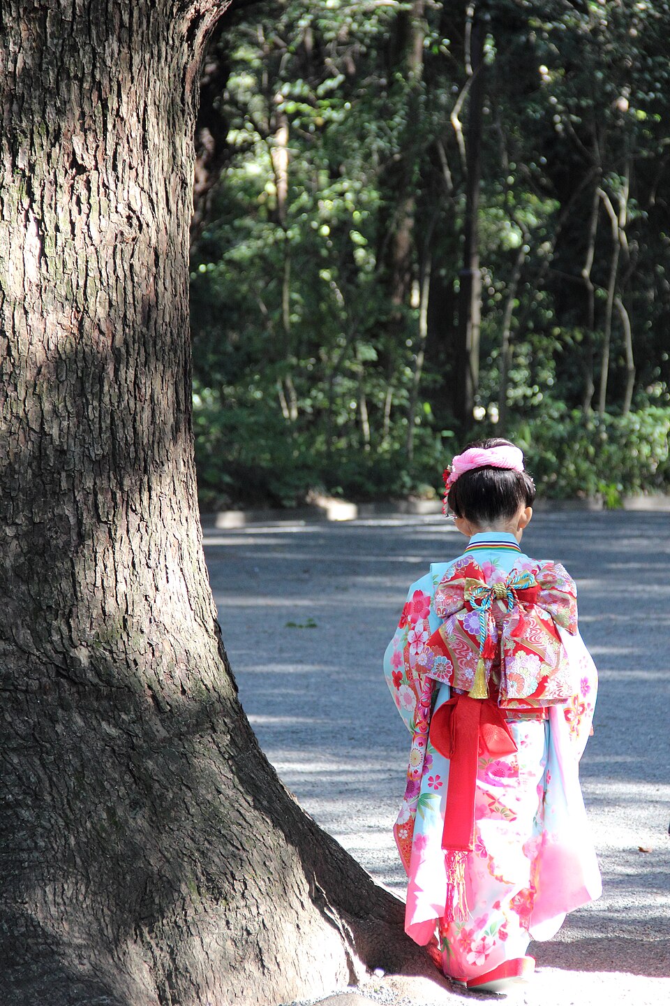 明治神宮の七五三