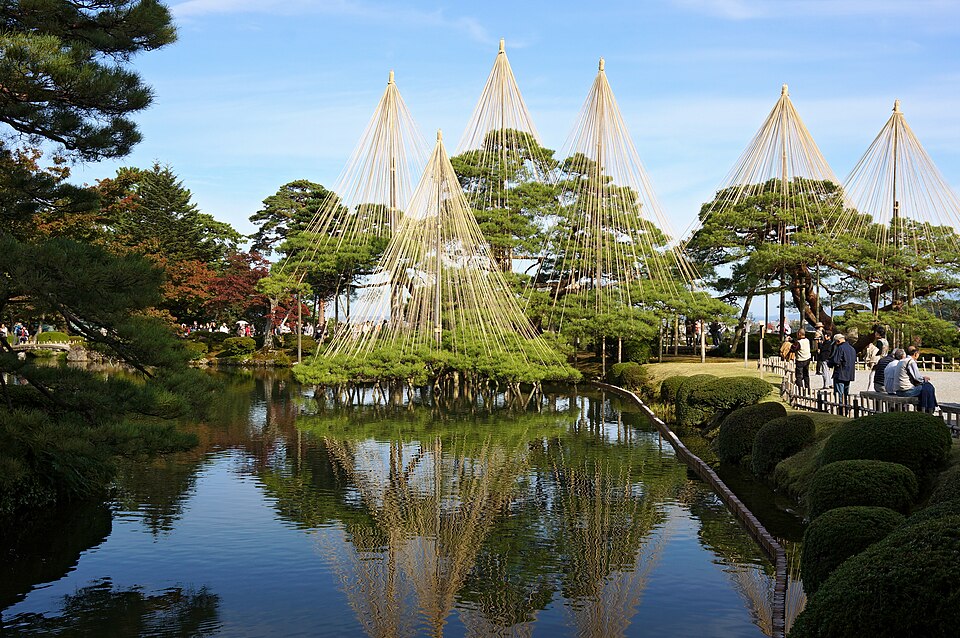 池のほとりの大きな松に5本の柱が立ち、柱の先から何十本もの縄が枝へ向かって傘の形に張られている